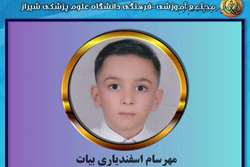 کسب رتبه سوم در المپیاد ساخت بازی و انیمیشن